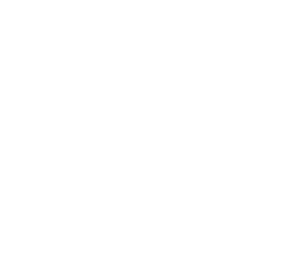 The Green Bus by Dublin Coach